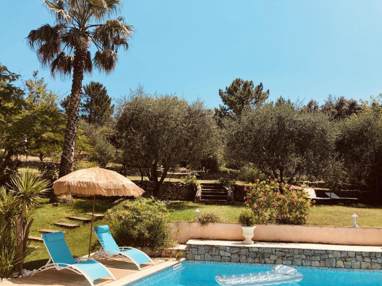 Maison De Vacances Villa Cardabella Le Tignet Eksteriør billede